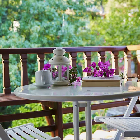 Alp Lavanta Akyaka (Mugla)