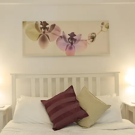 Alp Lavanta Akyaka (Mugla)