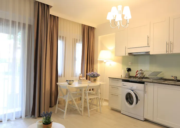 Alp Lavanta Apartman Akyaka