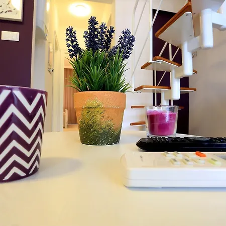 Alp Lavanta Akyaka (Mugla)