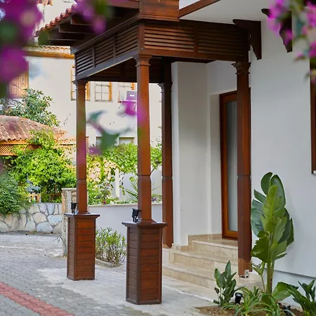 Alp Lavanta Akyaka (Mugla)